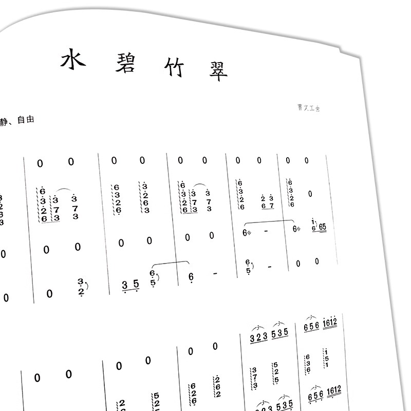 كتاب الموسيقى الفرقة Guzheng ا - مراجعة Musical Instrument Groups وسعره