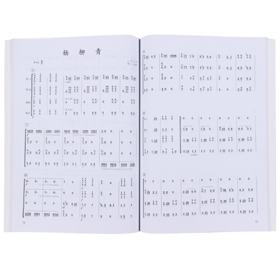 كتاب الموسيقى الفرقة Guzheng ا - مراجعة Musical Instrument Groups وسعره