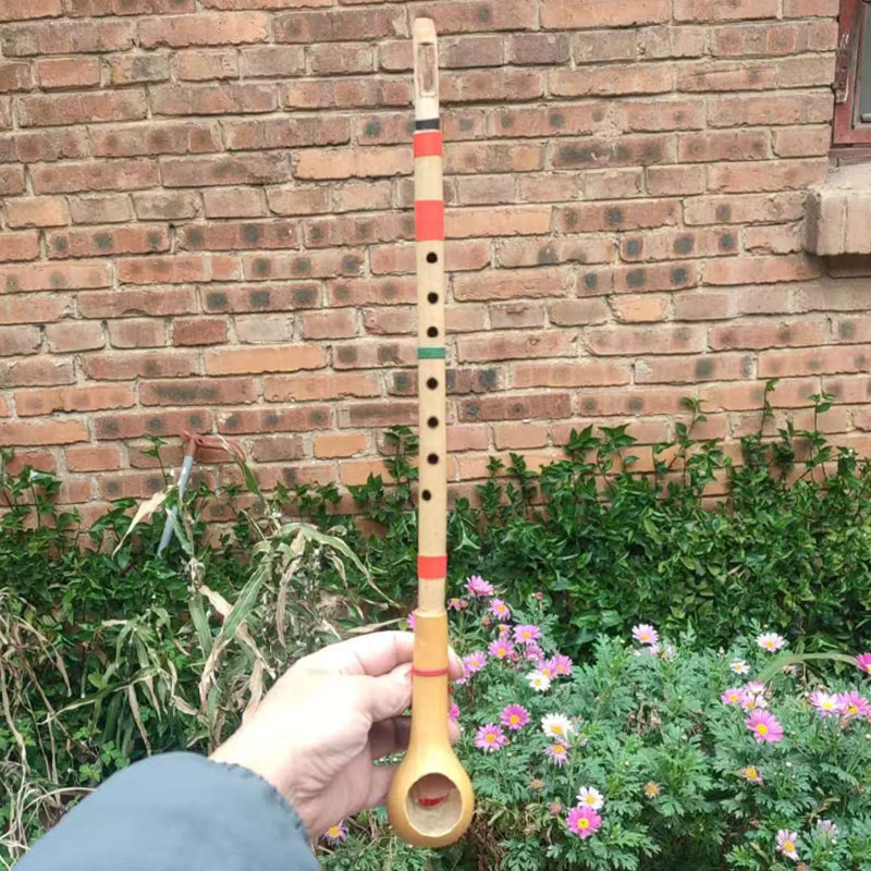 آلة موسيقية تقليدية يدوية الصن - مراجعة Musical Instrument Groups وسعره