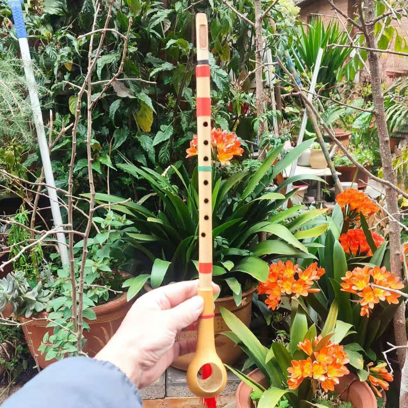 آلة موسيقية تقليدية يدوية الصن - مراجعة Musical Instrument Groups وسعره